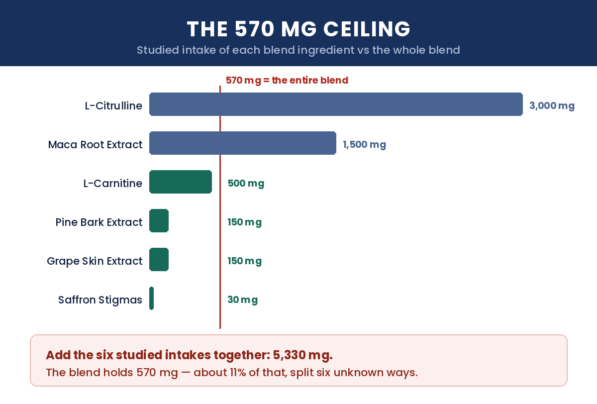 The 570mg ceiling — studied intake of each blend ingredient versus the whole blend